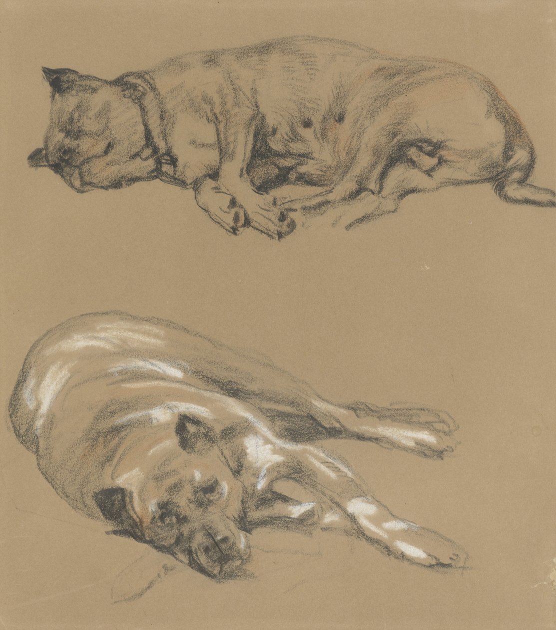 Dvě studie ležícího psa od Guillaume Anne van der Brugghen