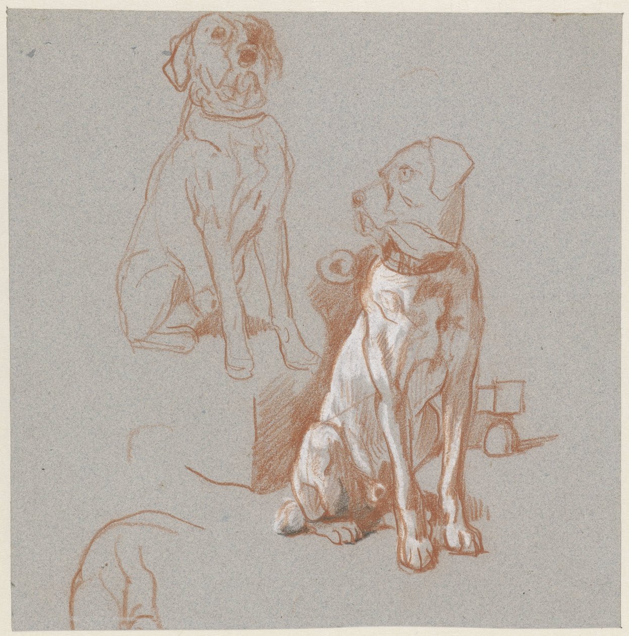 Dvě studie sedícího psa od Guillaume Anne van der Brugghen