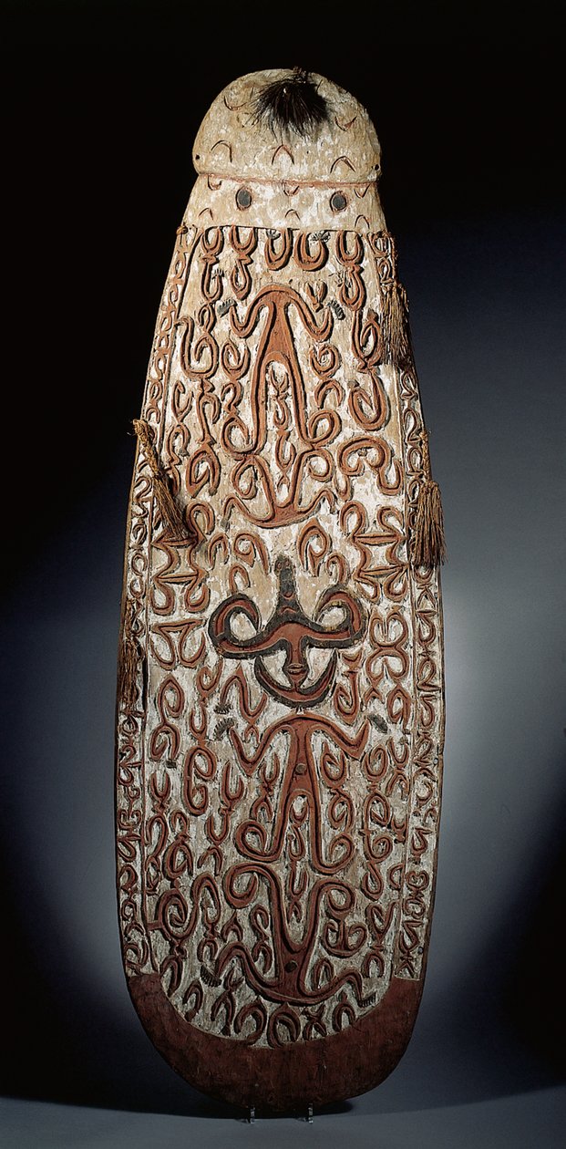 Oválný štít Asmat, vyřezávaný v reliéfu s rolovacím ornamentem zahrnujícím vysoce stylizované postavy, spletené střapce k okraji (dřevo, rafie a peří) od Guinean New