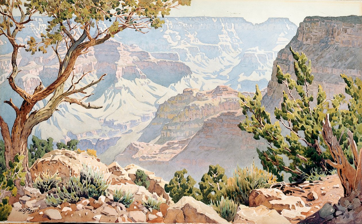 Grand Canyon (bez paluby) od Gunnar Widforss