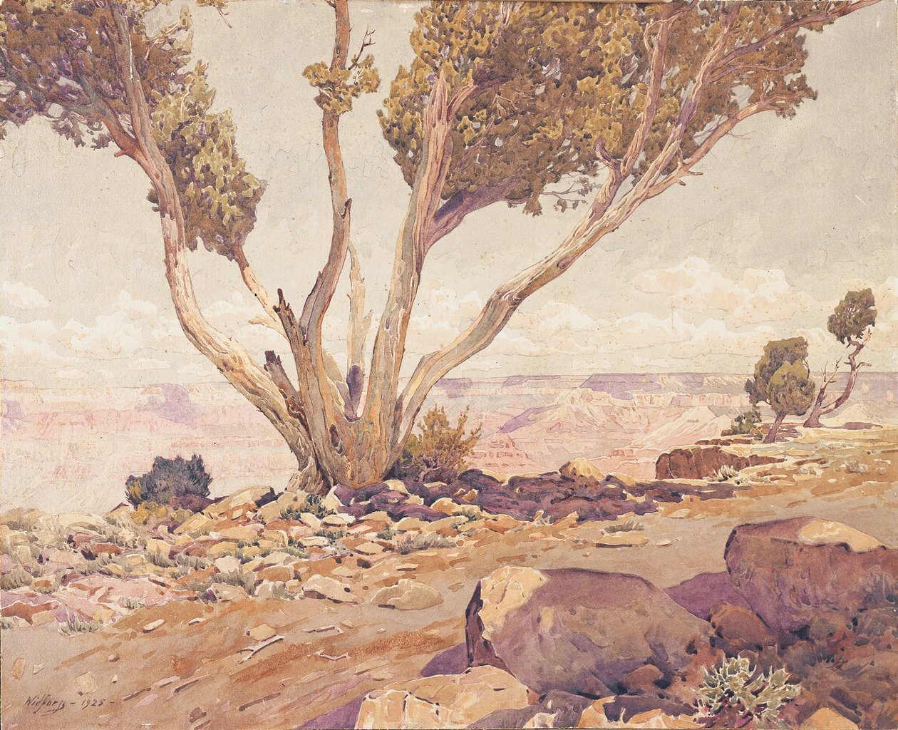 Grand Canyon od Gunnar Widforss