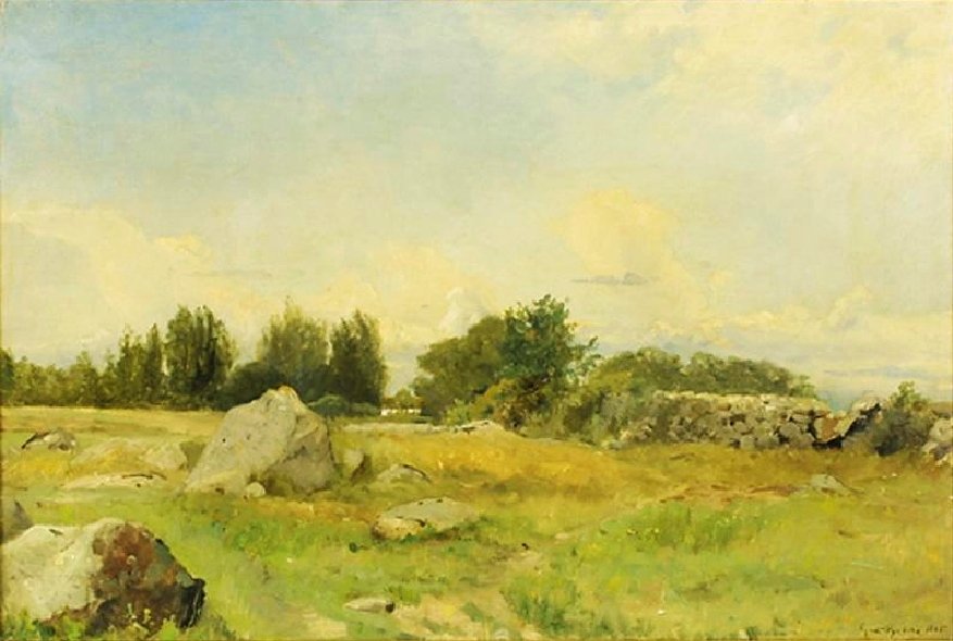 Skalnatý kopec od Gustaf Rydberg