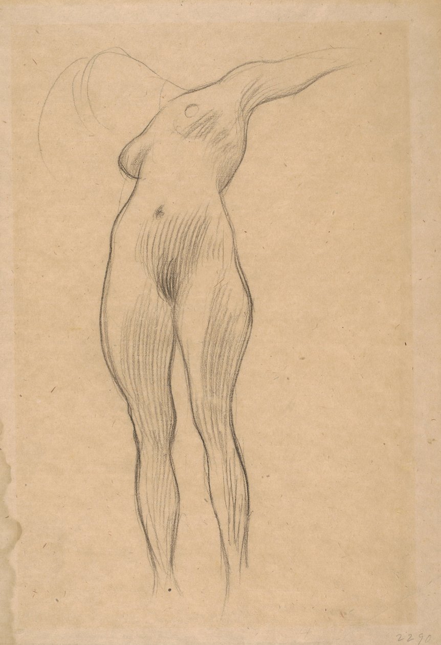 Plovoucí žena s nataženou paží (studie pro medicínu), 1900-1901 od Gustav Klimt