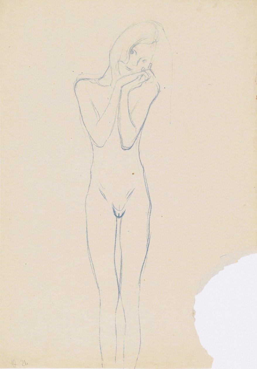 Akt zepředu od Gustav Klimt