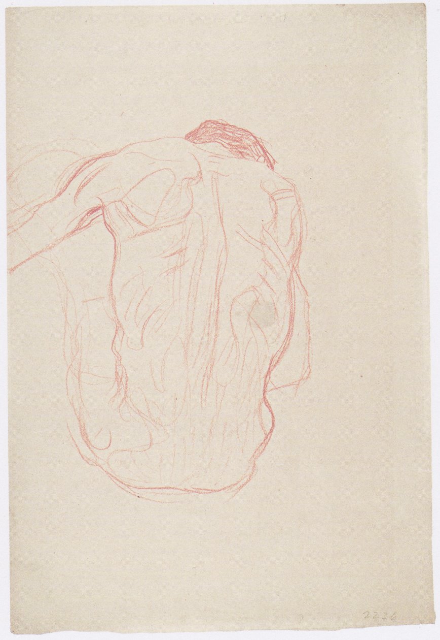 Sedící mužský akt zezadu od Gustav Klimt