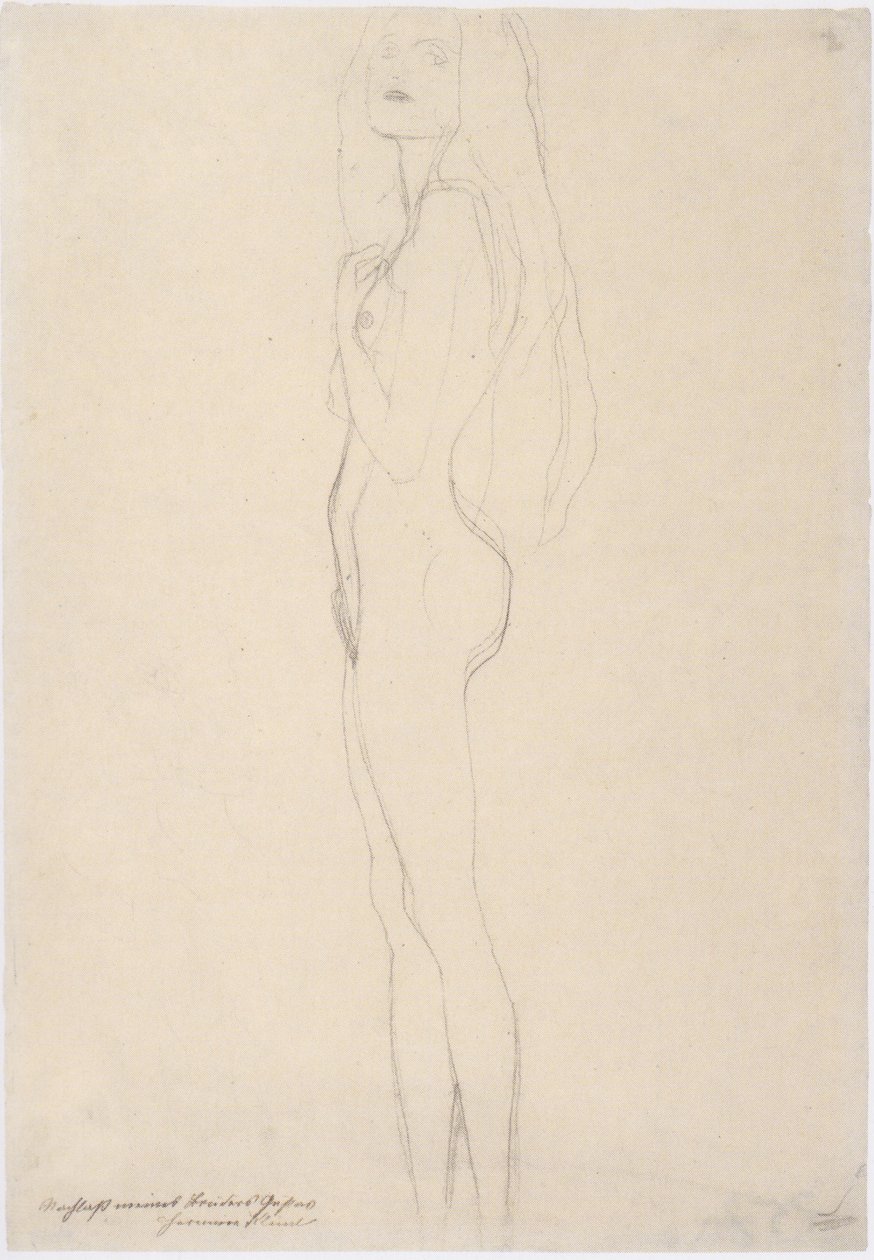 Stojící nahá dívka nalevo od Gustav Klimt