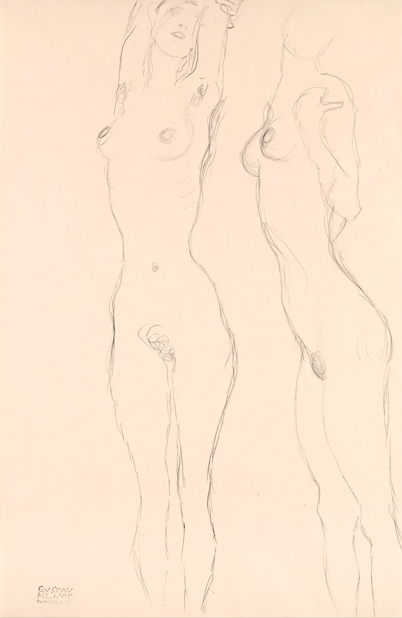 Dvě akty, levá se zvednutými pažemi od Gustav Klimt