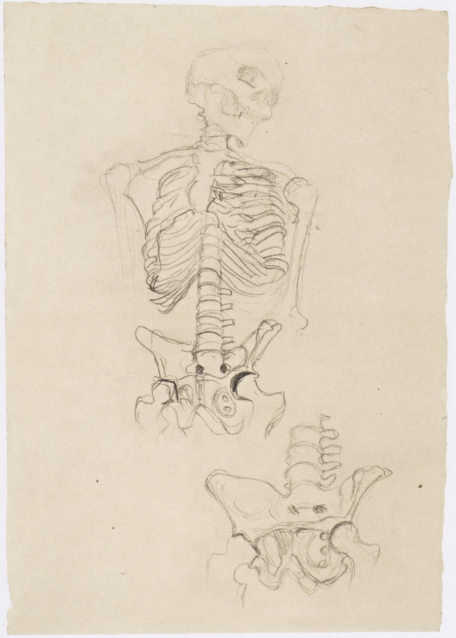 Dvě kosterní studie, horní s hlavou vpravo od Gustav Klimt