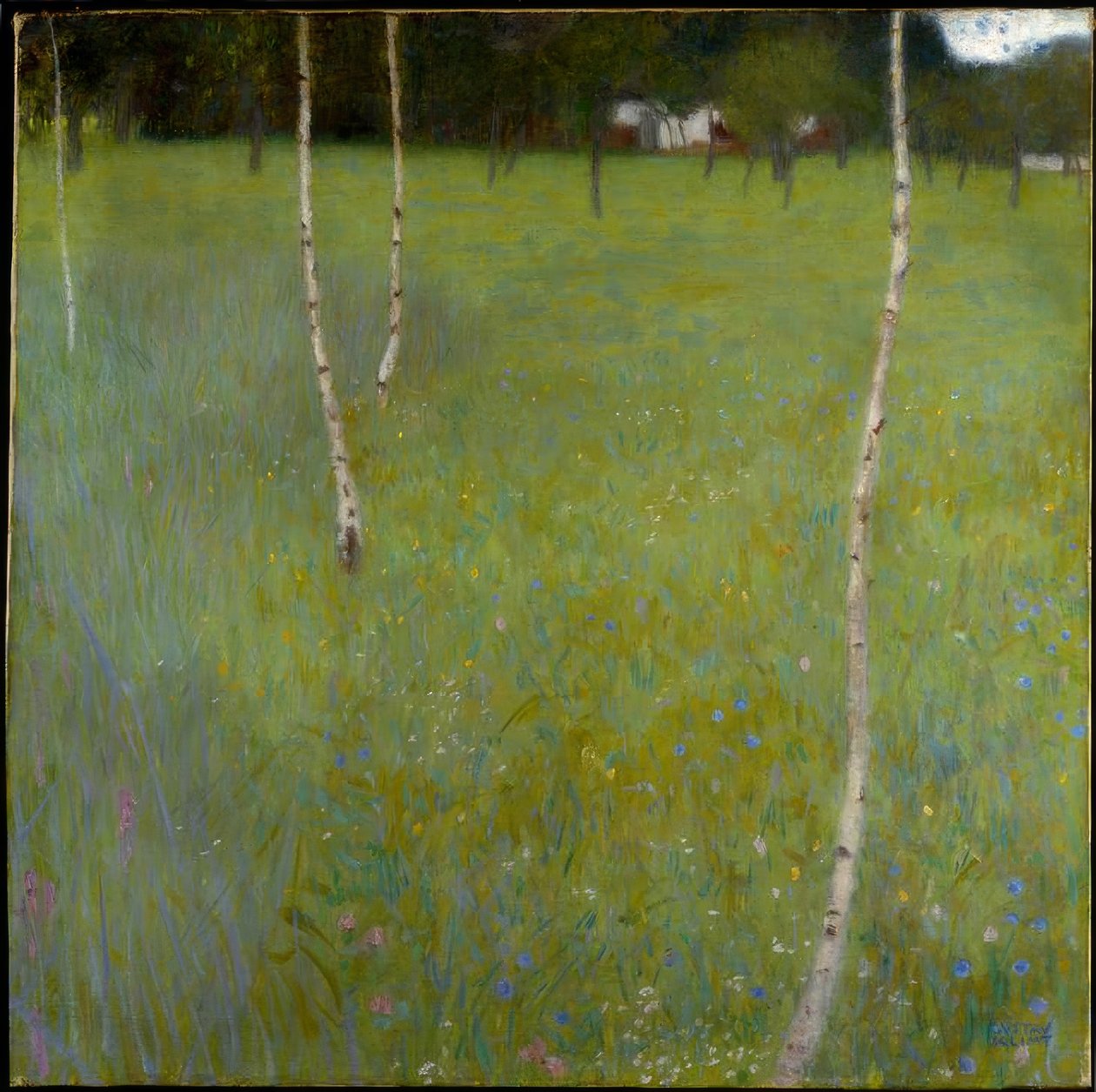 Statek s břízami (Young Birches) od Gustav Klimt