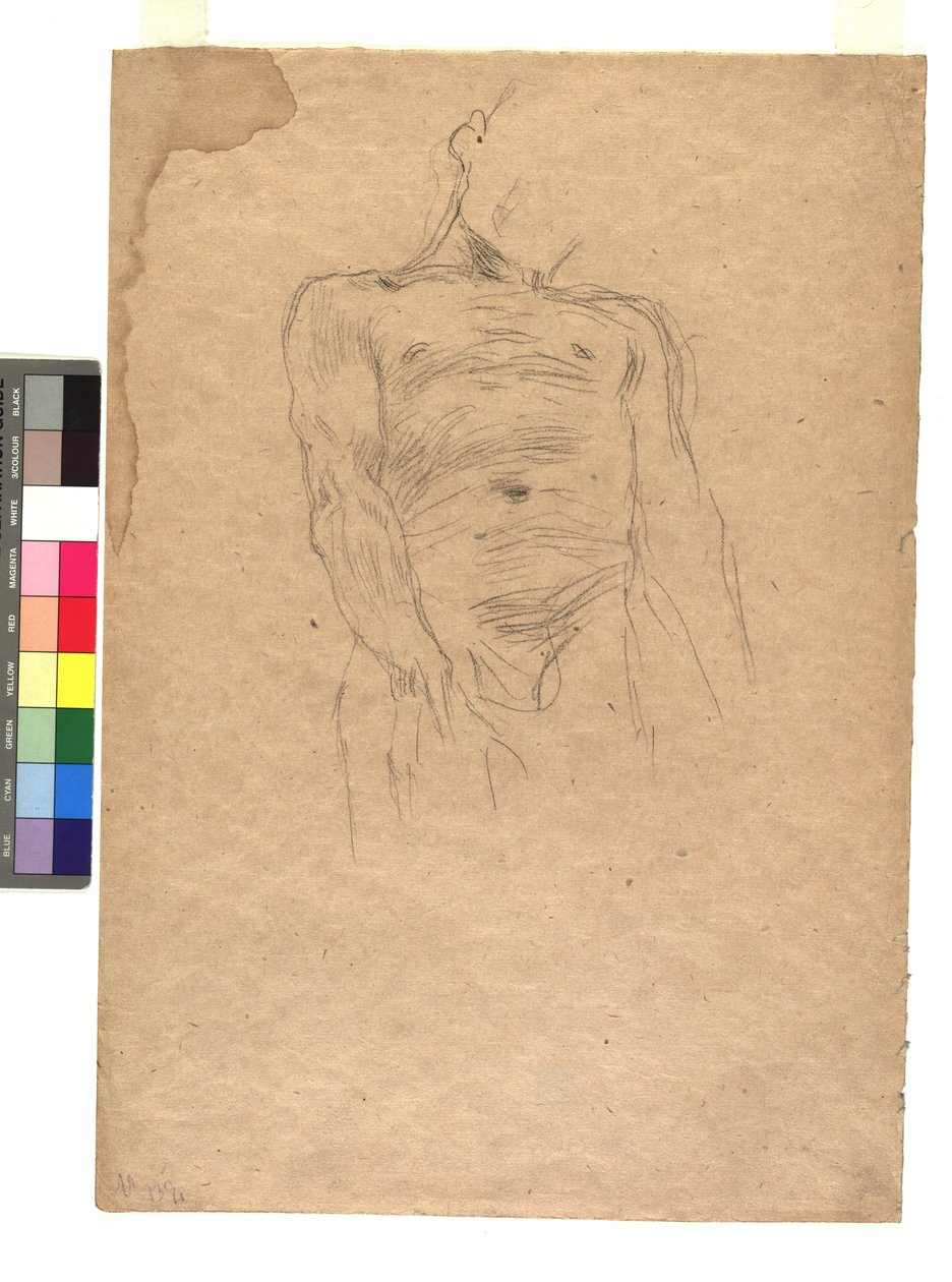 Männlicher Torso od Gustav Klimt