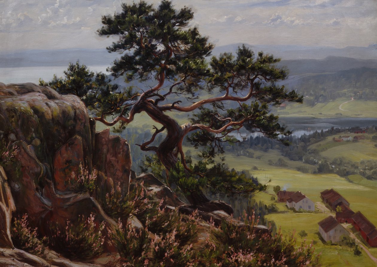 Výhled na Vardåsen od Gustav Wentzel