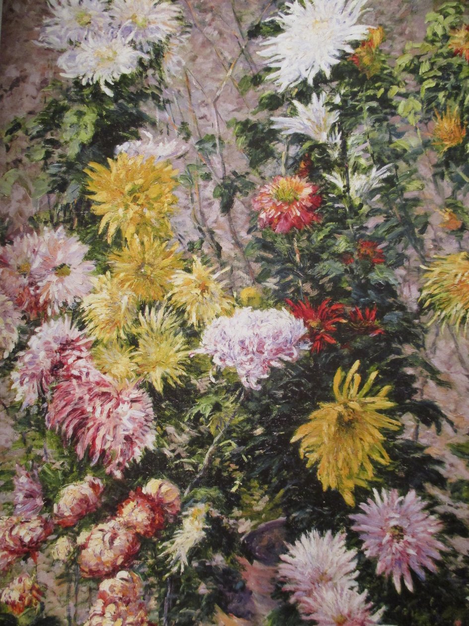 Bílé a žluté chryzantémy od Gustave Caillebotte