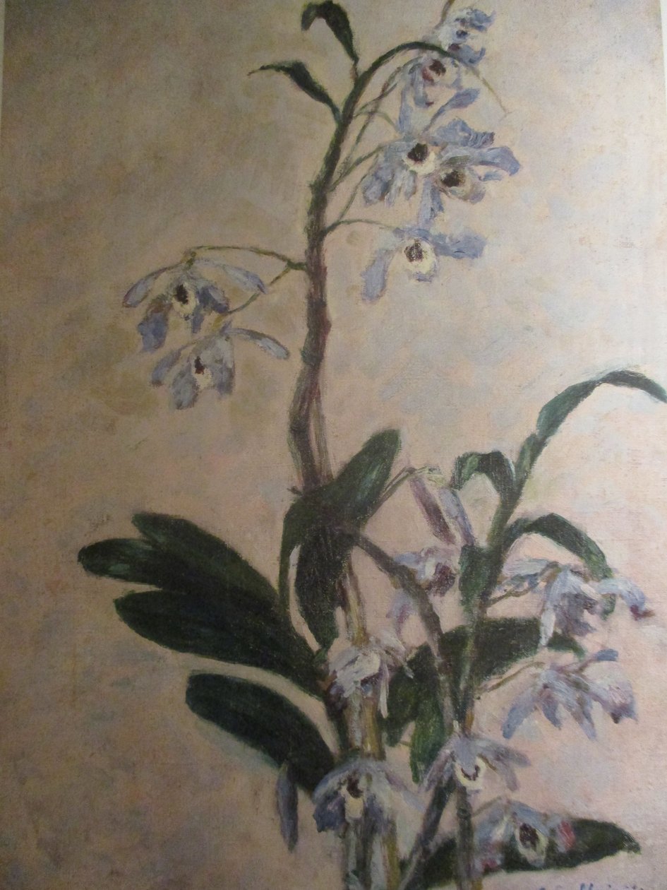 Orchideje od Gustave Caillebotte