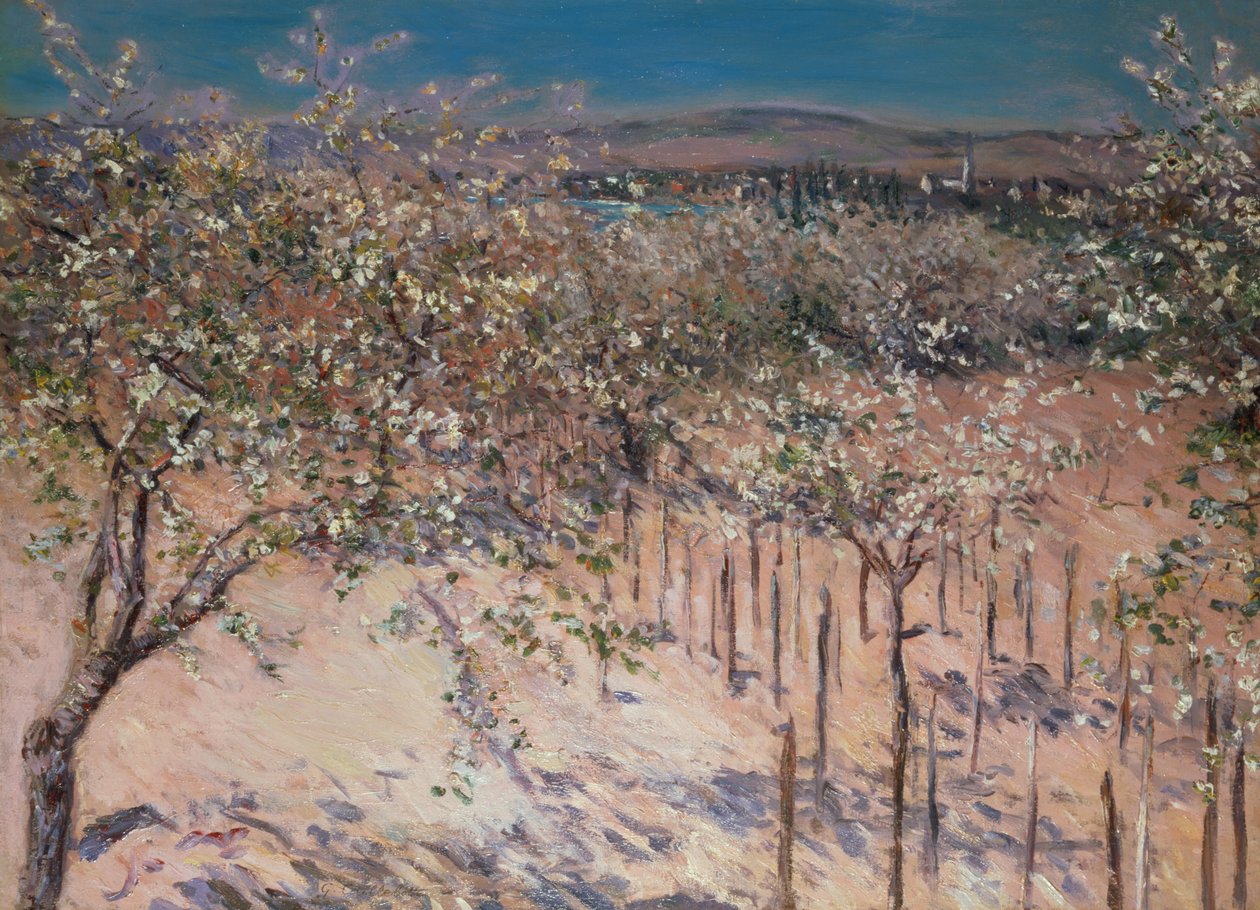 Sad s kvetoucími jabloněmi, Colombes od Gustave Caillebotte