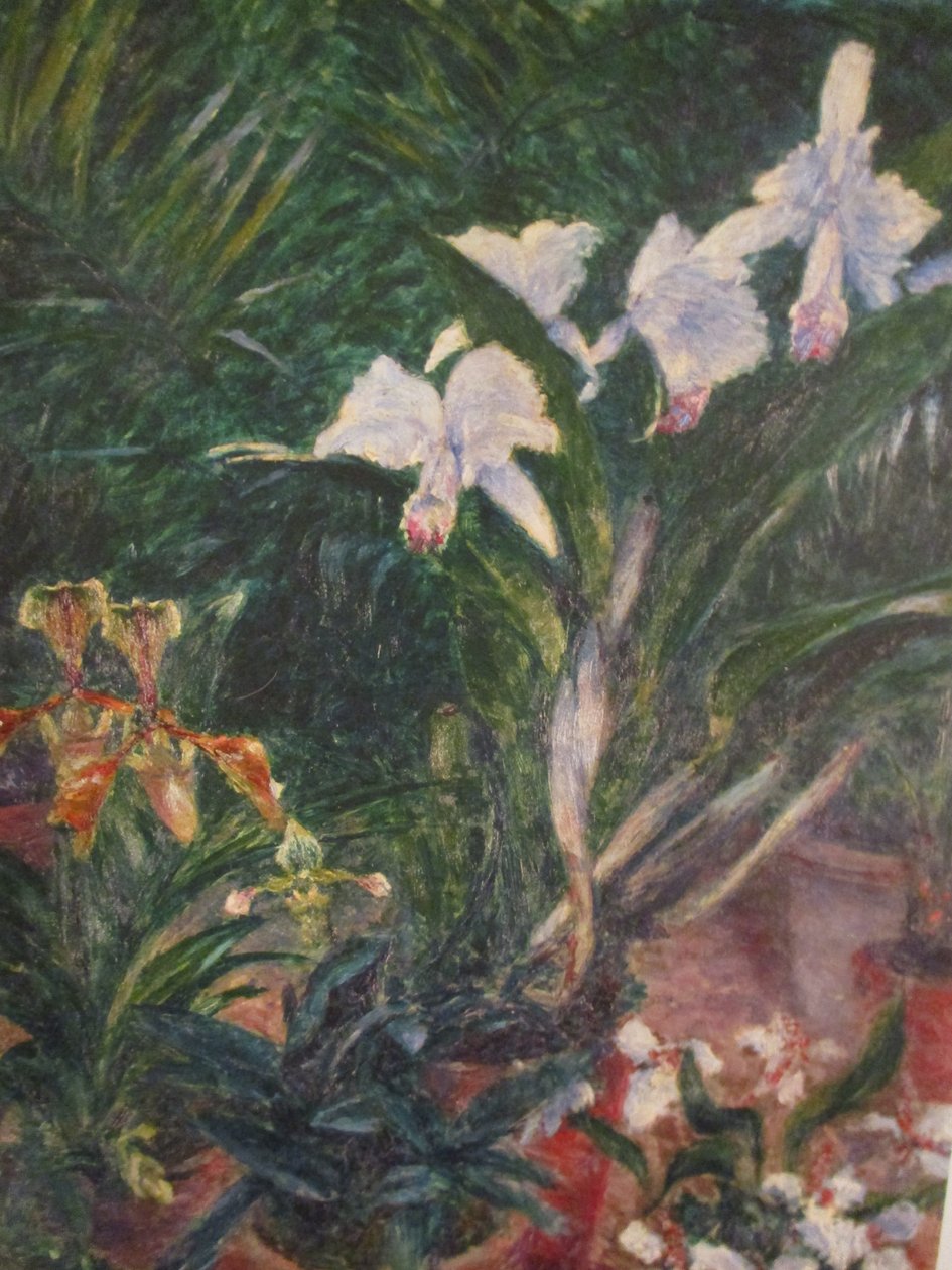 Orchideje ve skleníku Petit Gennevilliers od Gustave Caillebotte