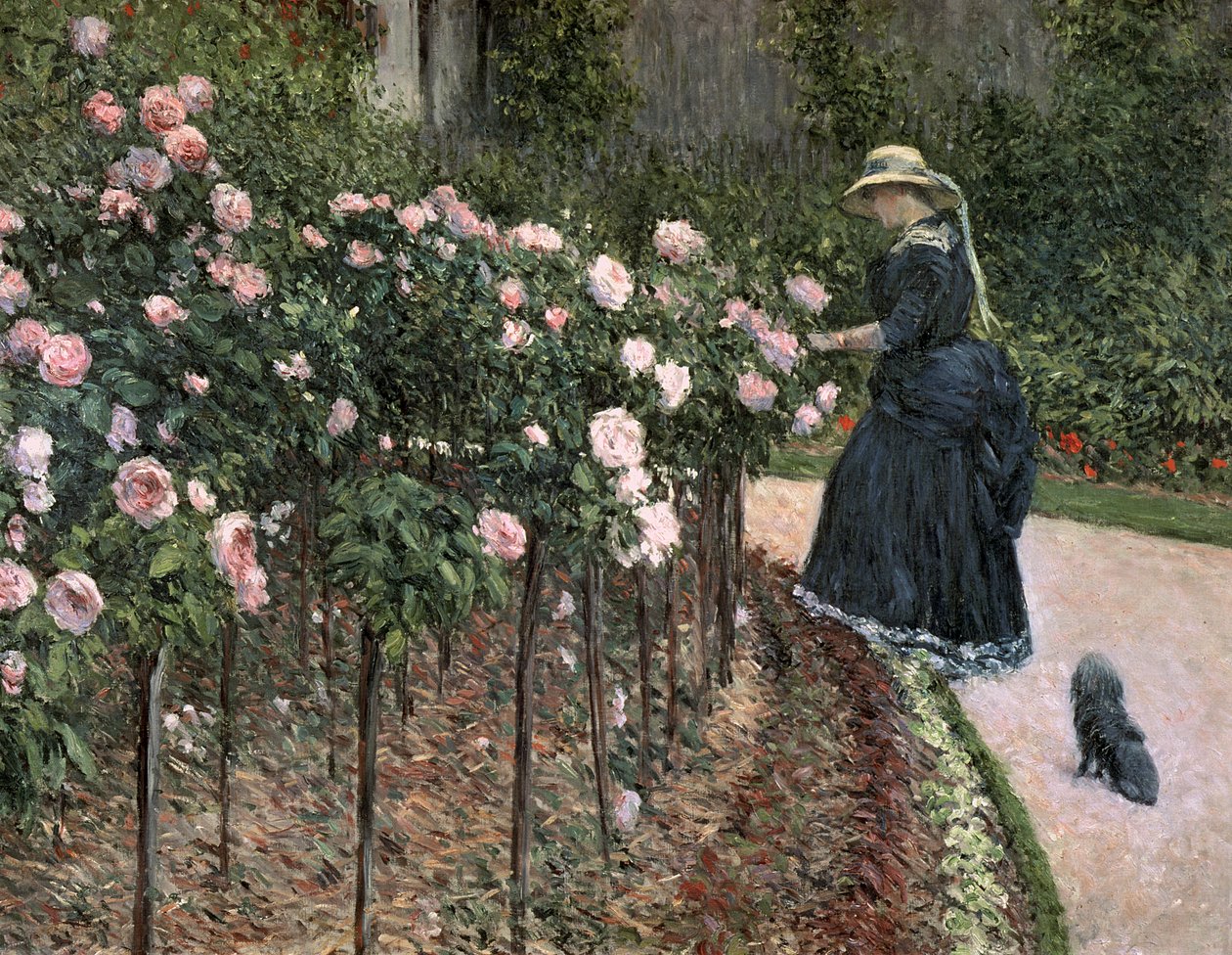 Růže v zahradě v Petit Gennevilliers, 1886 od Gustave Caillebotte