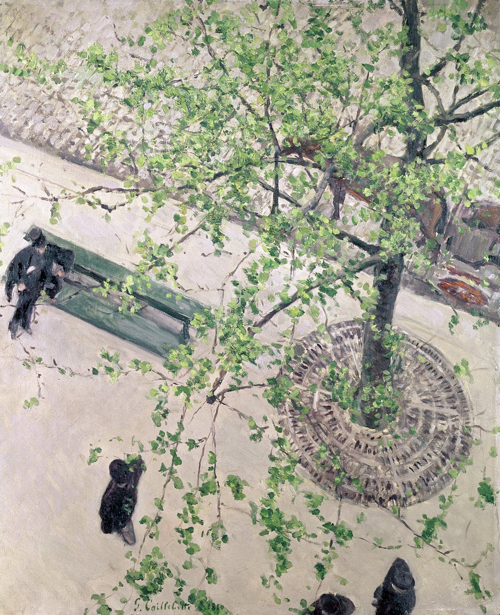 Bulvár při pohledu shora, 1880 od Gustave Caillebotte