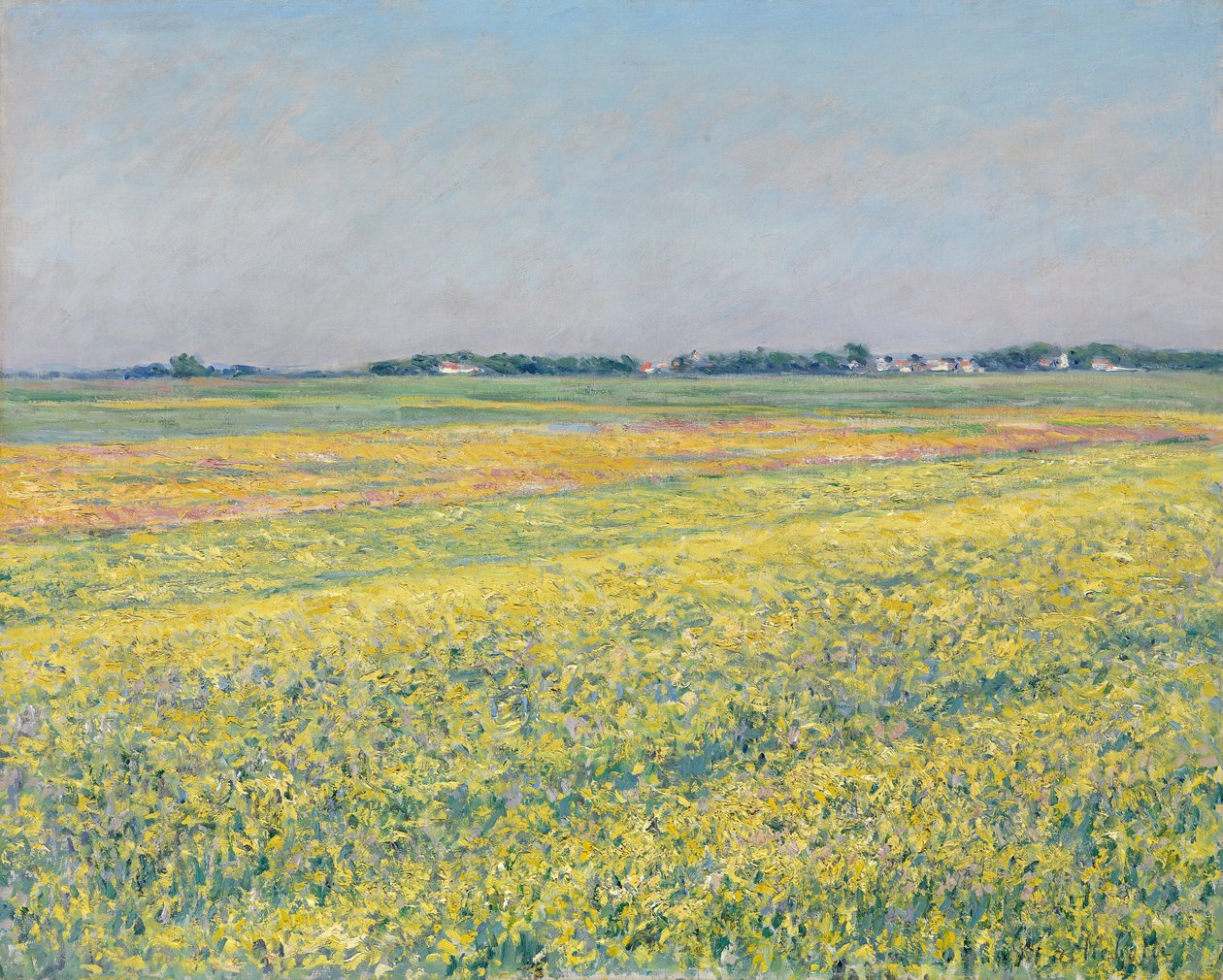 Rovina Gennevilliers, žlutá pole od Gustave Caillebotte