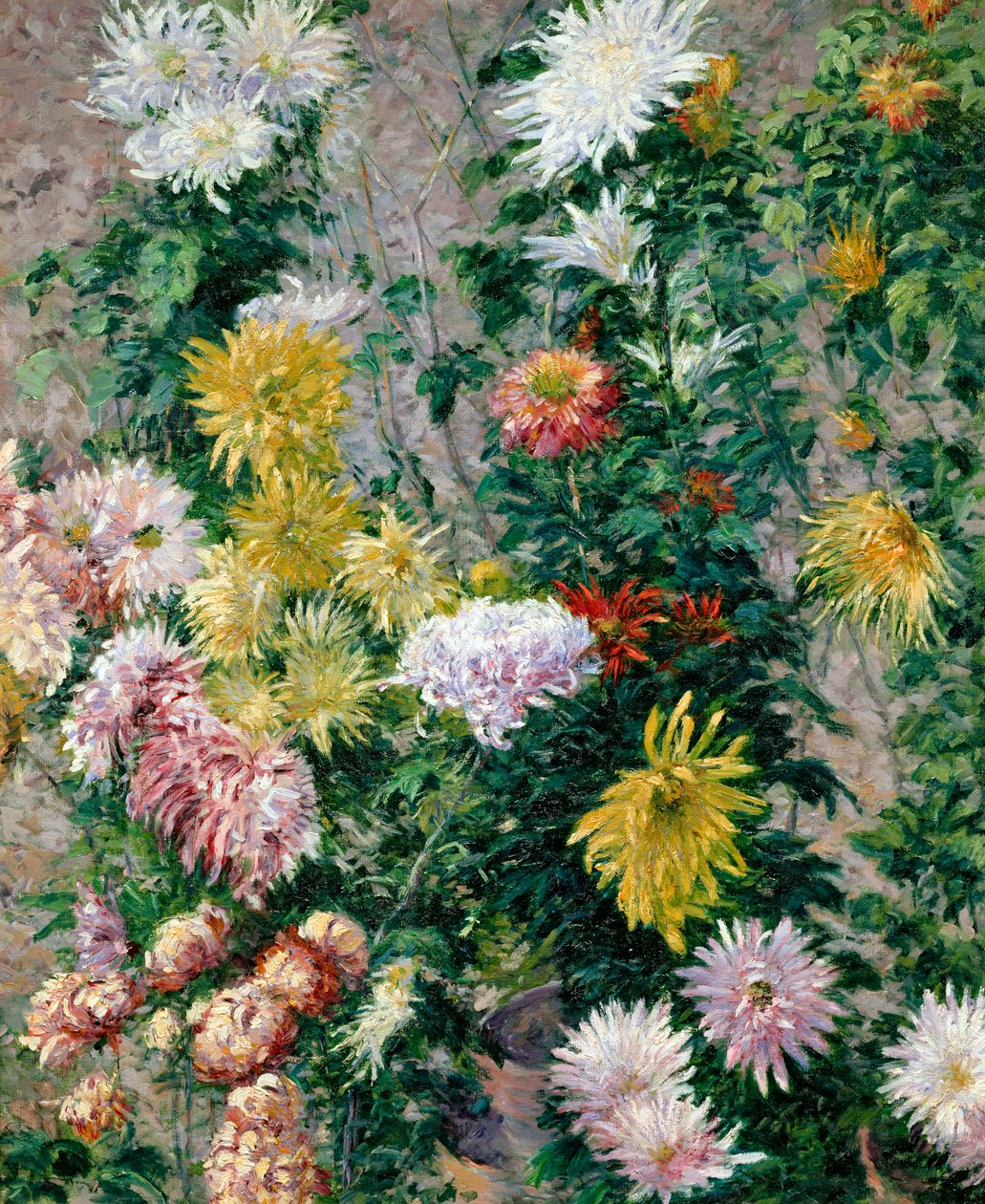 Bílé a žluté chryzantémy, 1893 od Gustave Caillebotte