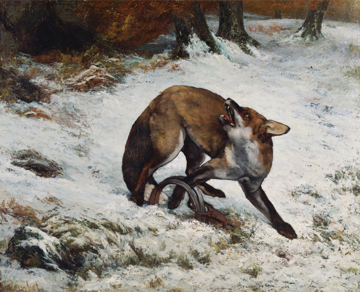 Fox chycen v pasti od Gustave Courbet
