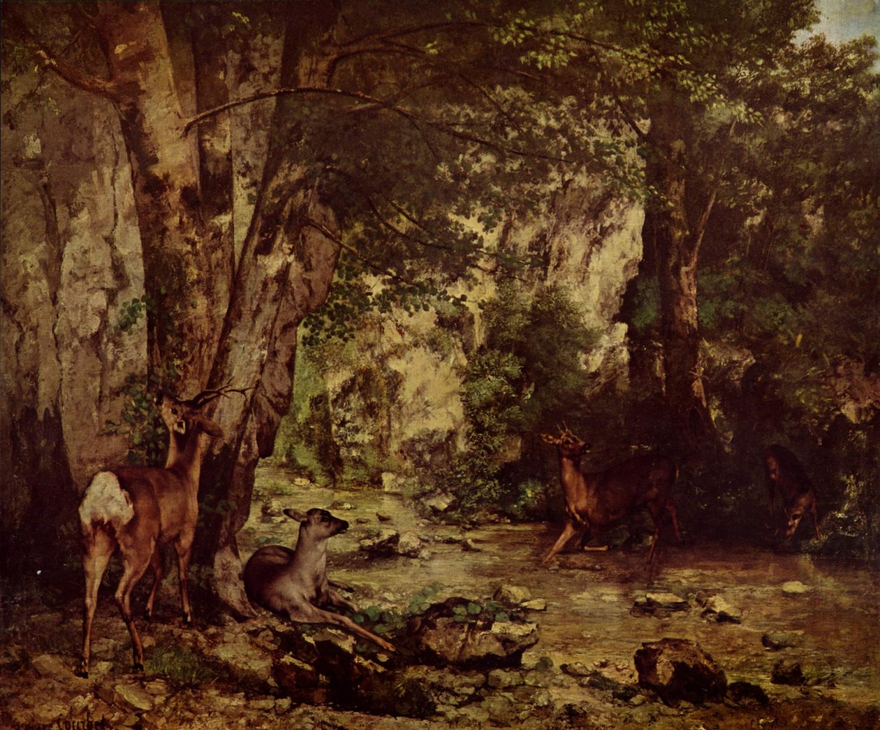 Srnec v lese od Gustave Courbet