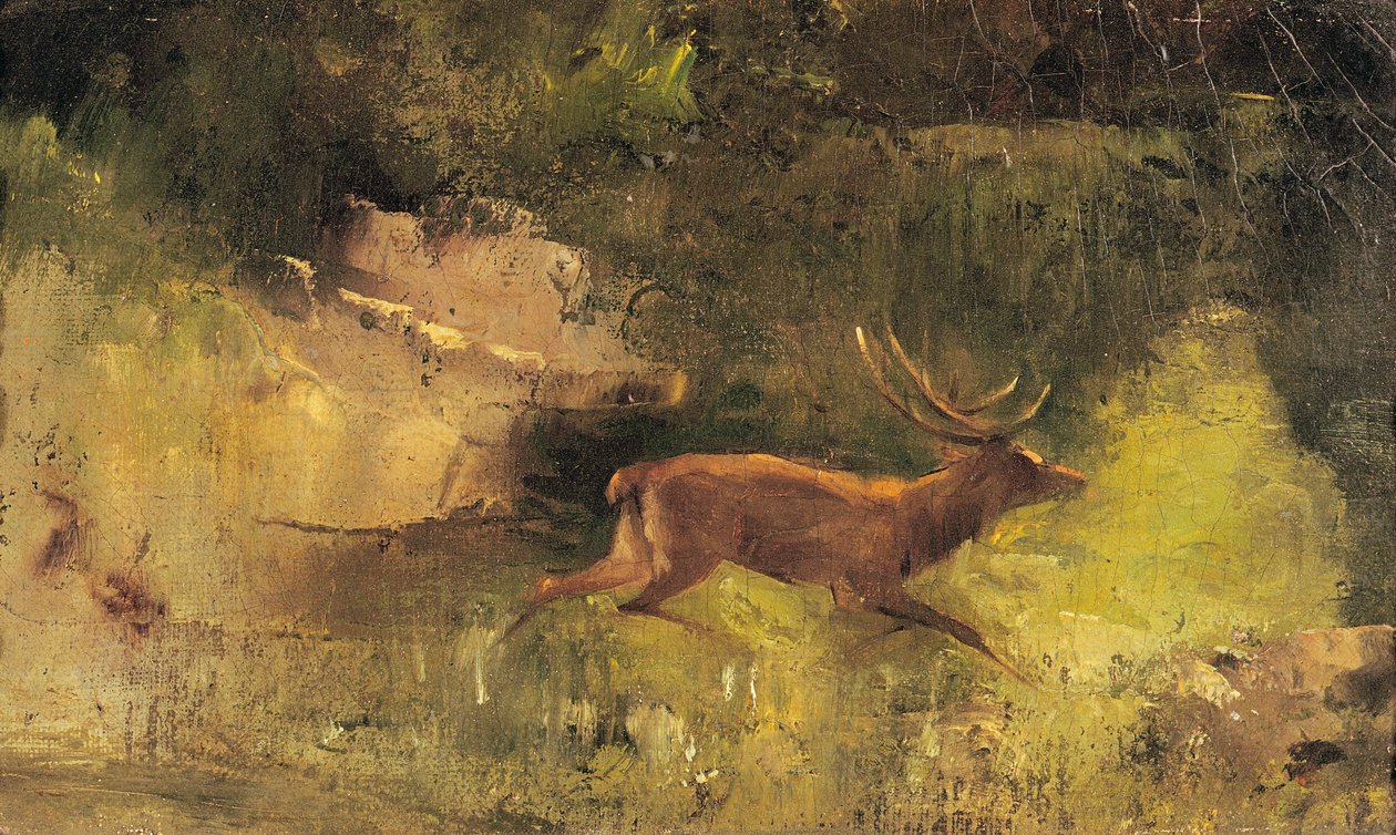 Jelen běží lesem, asi 1865 od Gustave Courbet