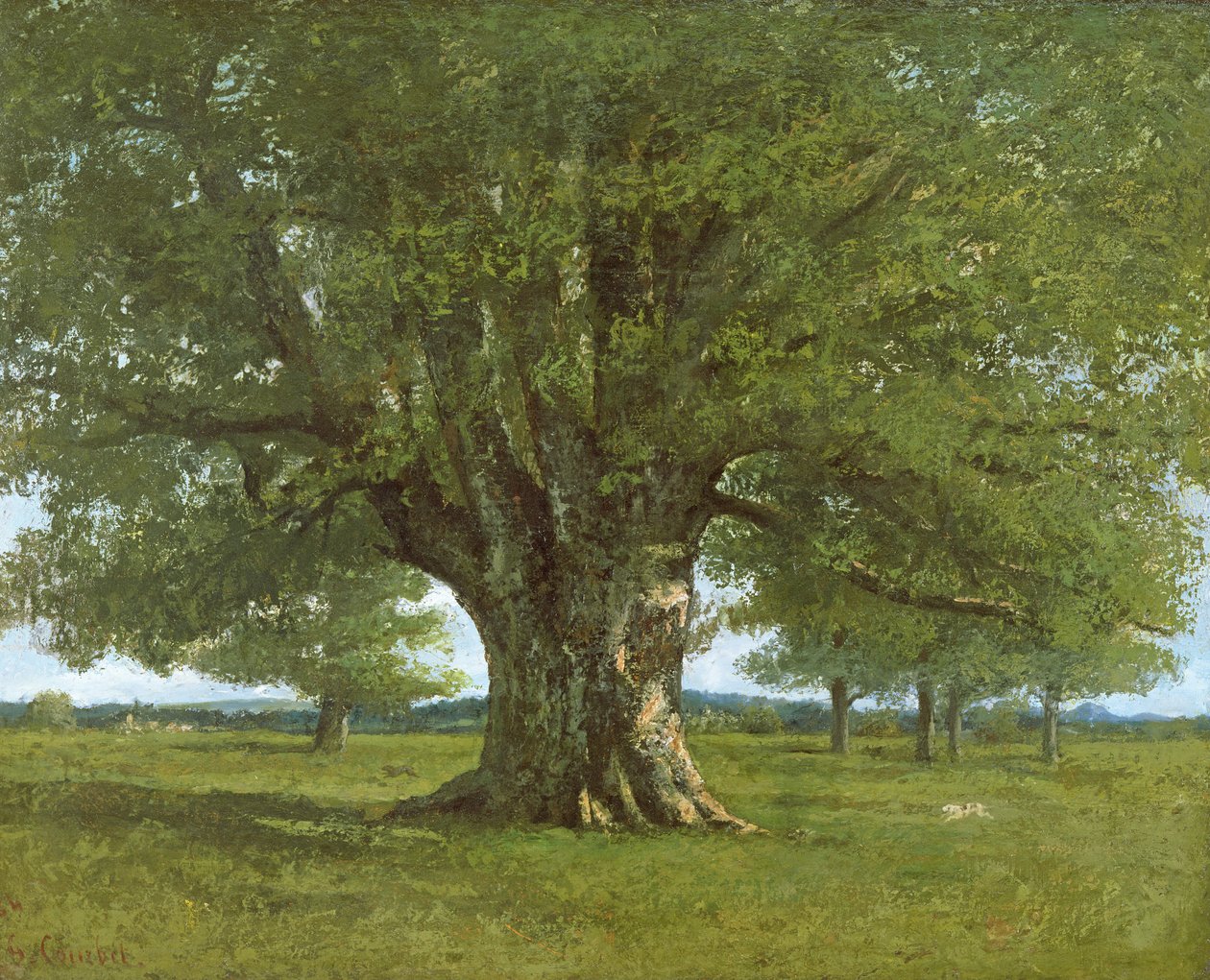 The Flagey Oak Tree, 1864 od Gustave Courbet