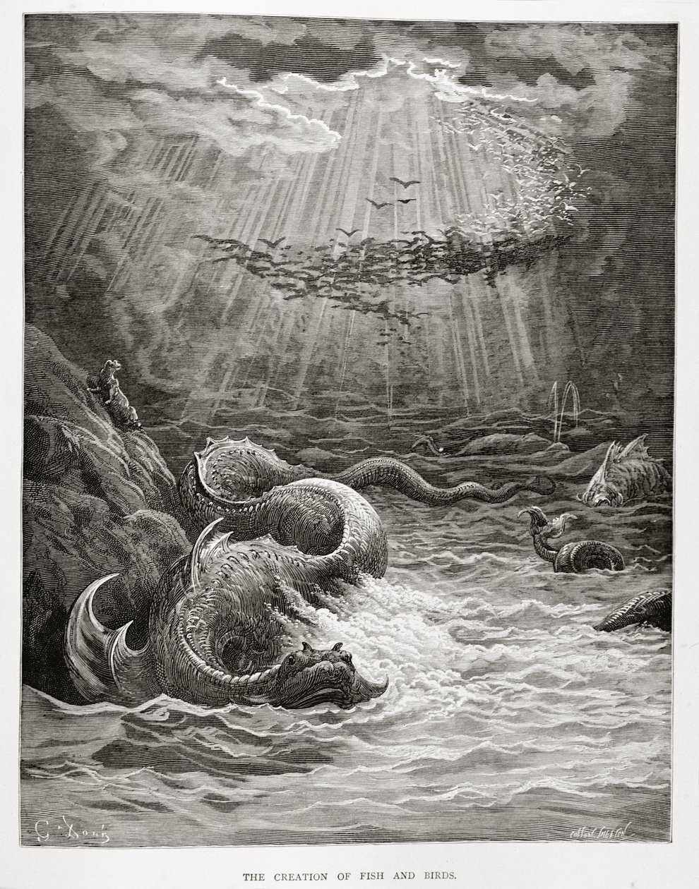 The Creation of Fish and Birds, from Paradise Lost od Johna Miltona (1608-74) vyryl Collon Smeeton, kolem roku 1868 od Gustave Dore