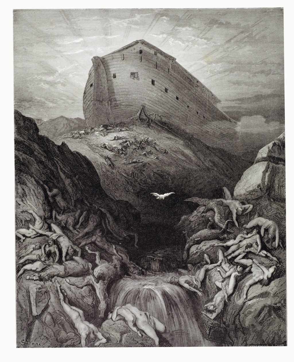 Holubice seslaná z archy, vyryla Stephane Pannemaker (1847-1930) kolem roku 1868 od Gustave Dore