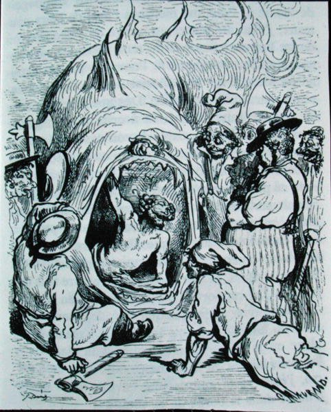 Ilustrace pro 