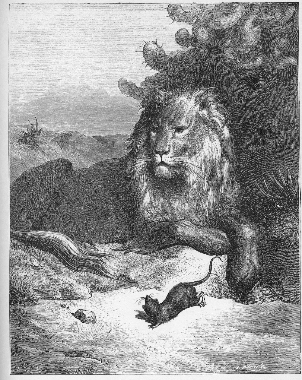 Le lion et le rat - Lev a myš - z 