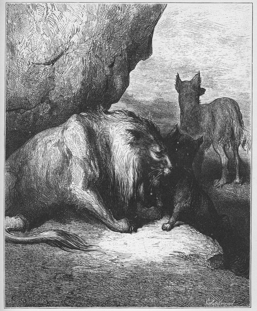 le lion le loup et le fox - lev, vlk a liška - z 