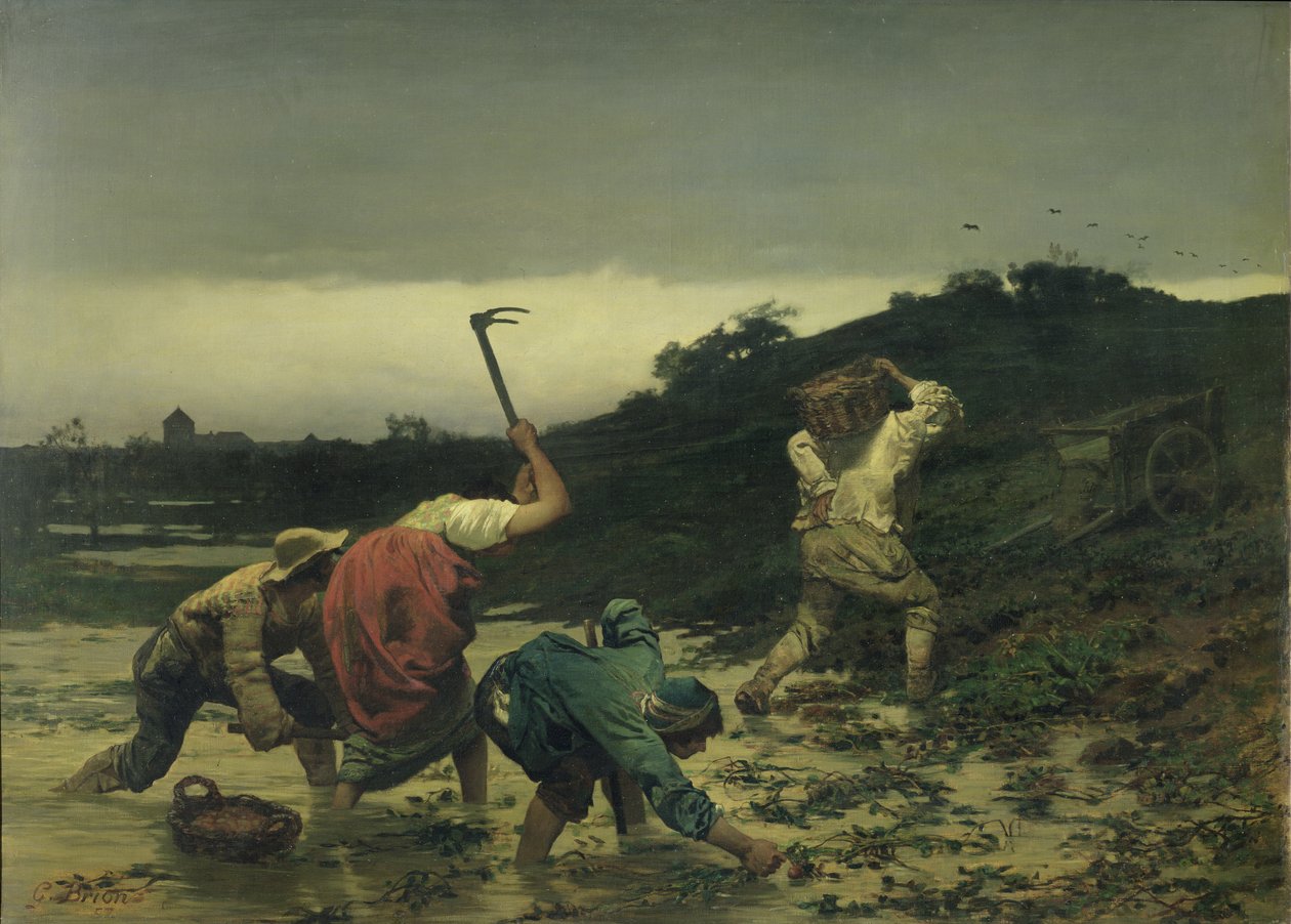 Rolníci sklízejí brambory během povodně Rýna v roce 1852 od Gustave Brion