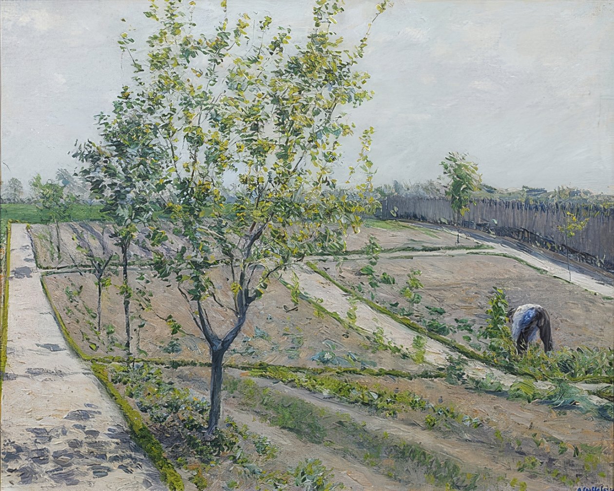 Zeleninová zahrada, Petit Gennevilliers. 1881-82 od Gustave Caillebotte