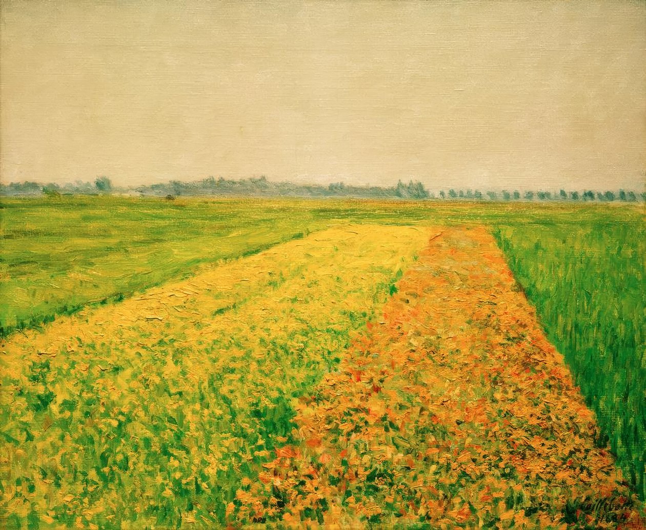Planina Gennevilliers, žlutá pole od Gustave Caillebotte
