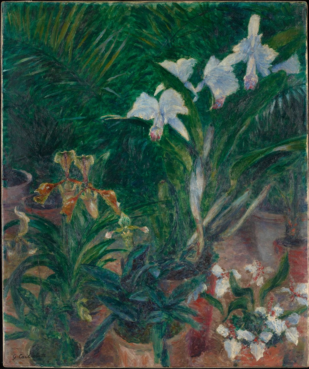 Orchideje ve skleníku Petit Gennevilliers, 1893. od Gustave Caillebotte