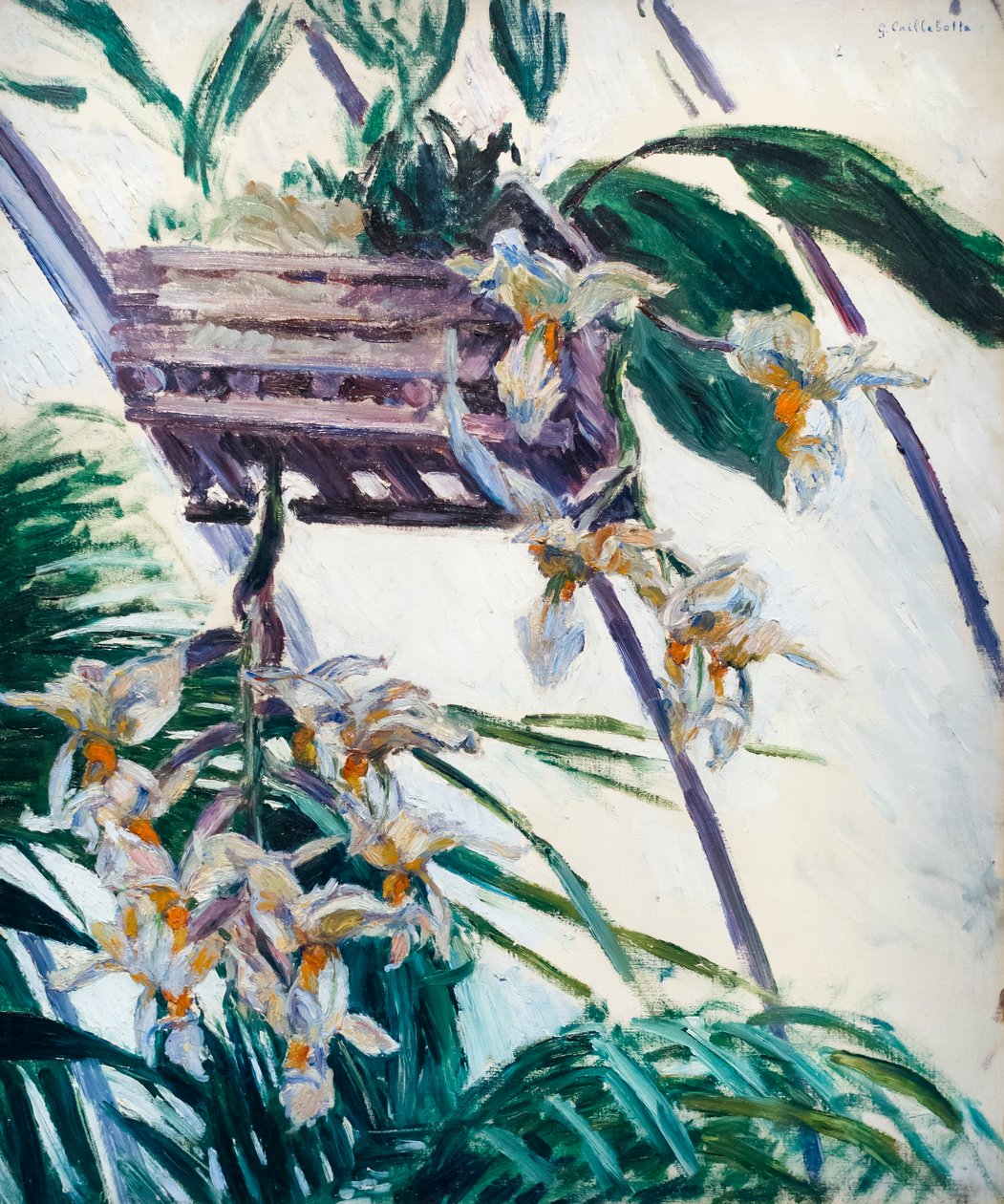 Orchideje, c. 1893 (olej na plátně) od Gustave Caillebotte