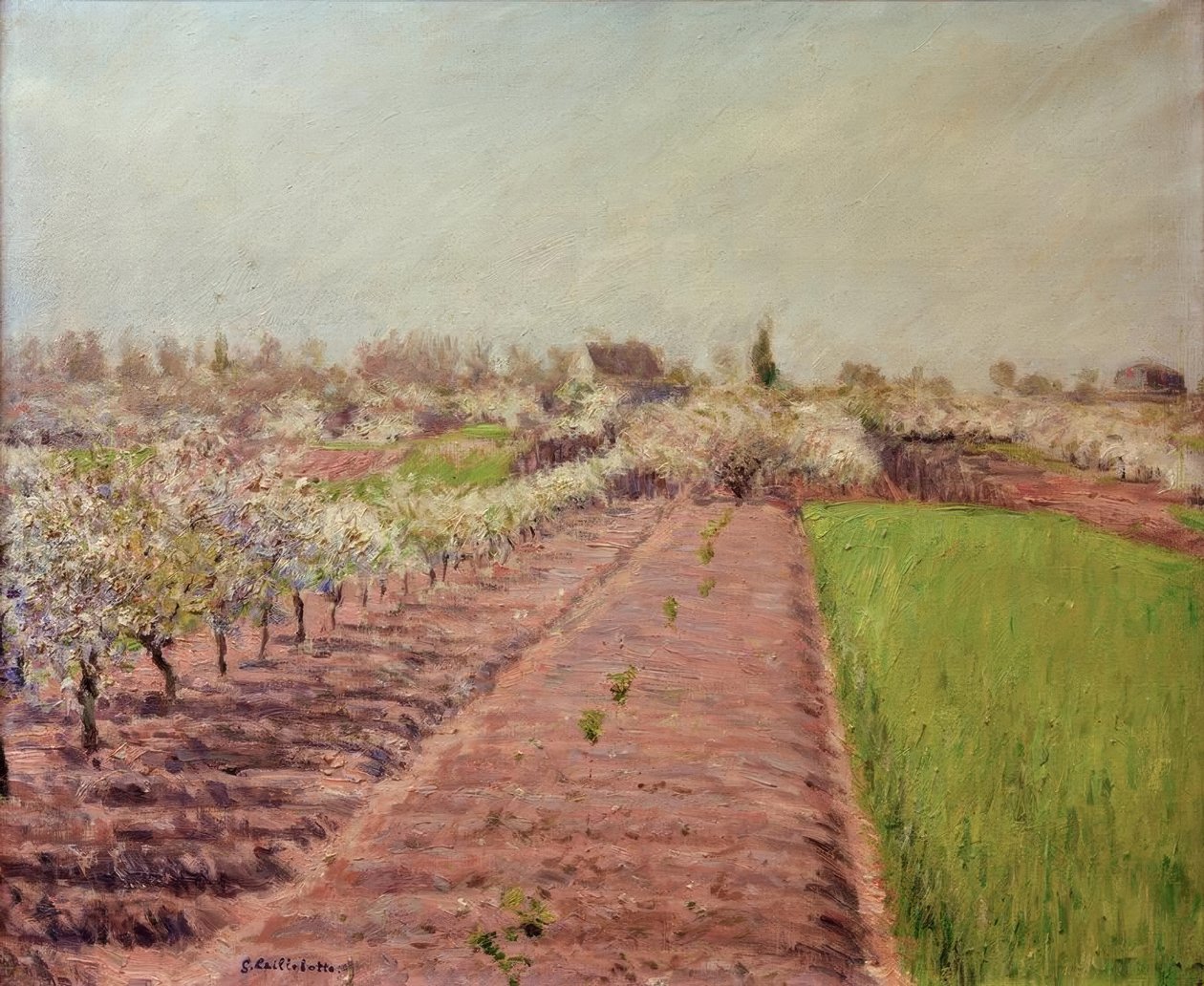Jabloně v květu, úbočí Colombes od Gustave Caillebotte