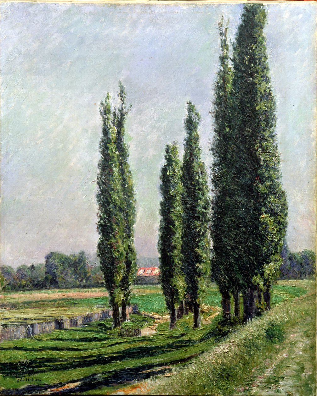 Topoly na břehu řeky v Argenteuil (olej na plátně) od Gustave Caillebotte