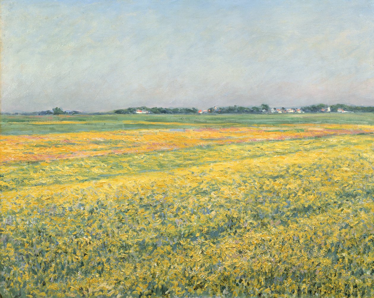 The Plain of Gennevilliers, Yellow Fields; Planina Gennevilliers, žlutá pole, 1884 od Gustave Caillebotte