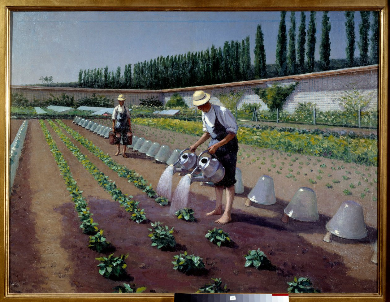 Zahradníci. Dva muži se svými konvemi zavlažují jejich plantáž. V jejich blízkosti bývaly skleněné zvony k přikrývání plodin. Obraz Gustava Caillebotteho (1848-1894) od Gustave Caillebotte