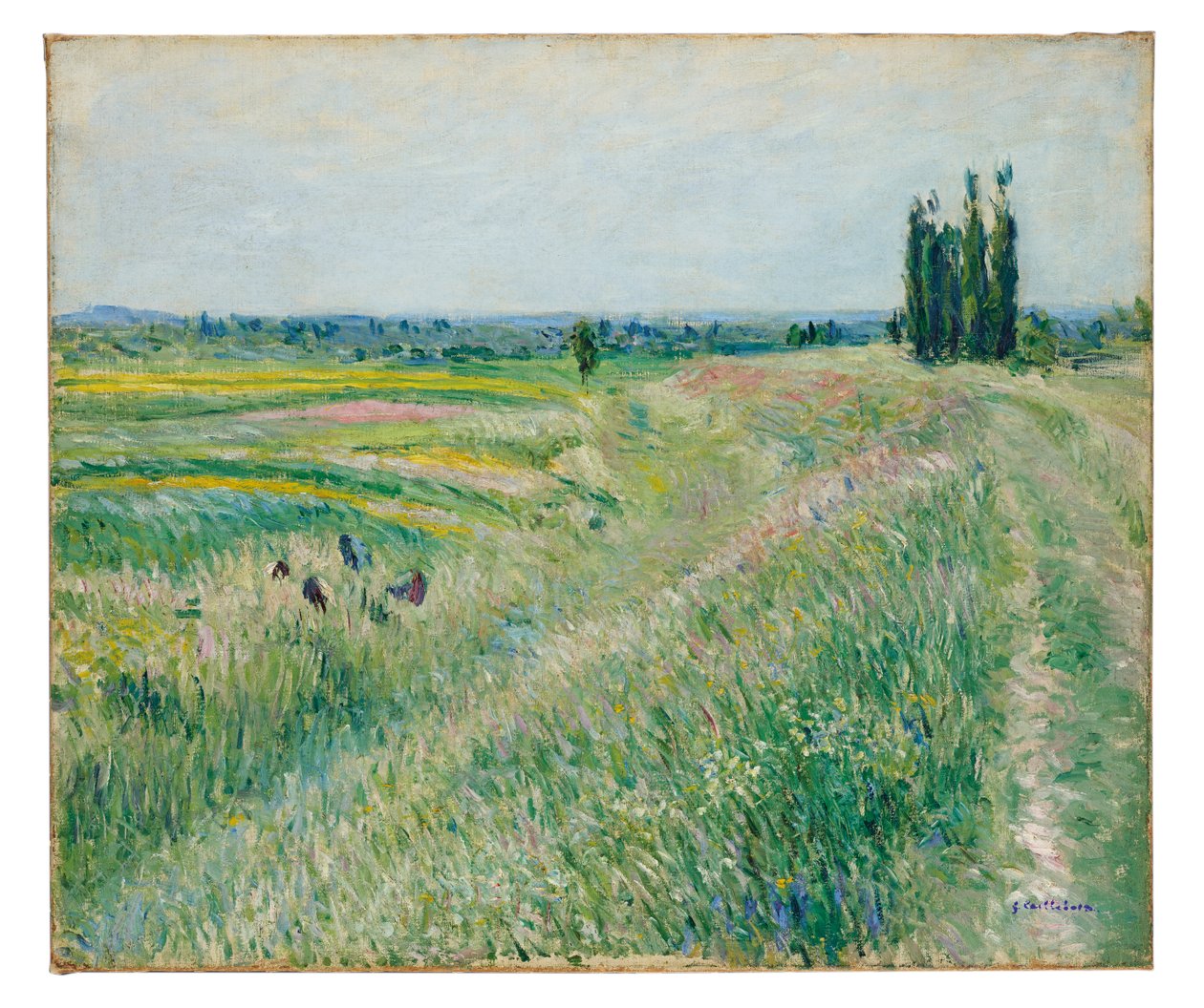 Planina Gennevilliers, skupina topolů, asi 1883 (olej na plátně) od Gustave Caillebotte