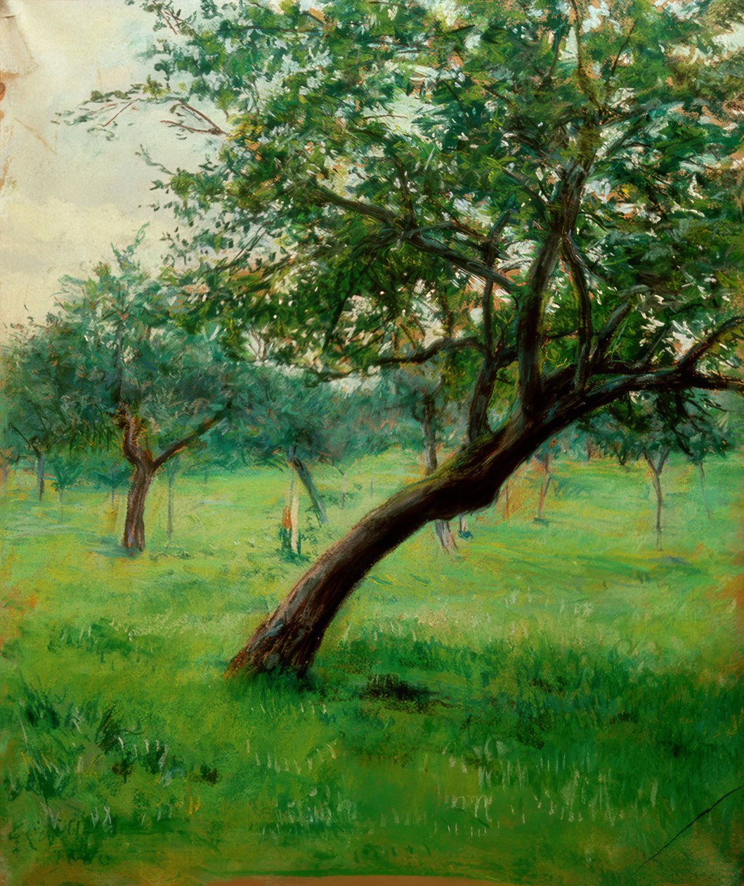 Verger, také známý jako Verger v Normandii od Gustave Caillebotte