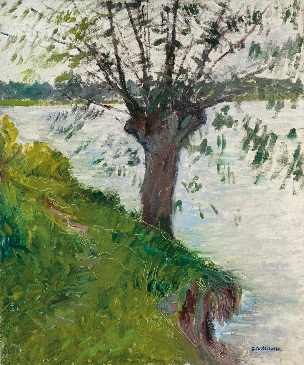 Vrba u řeky; Saule au bord de la riviere, c. 1891 od Gustave Caillebotte