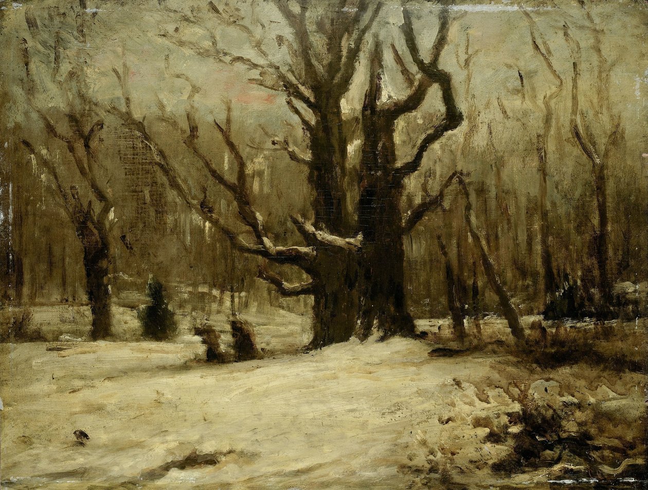 Zimní krajina od Gustave Courbet (attributed to)