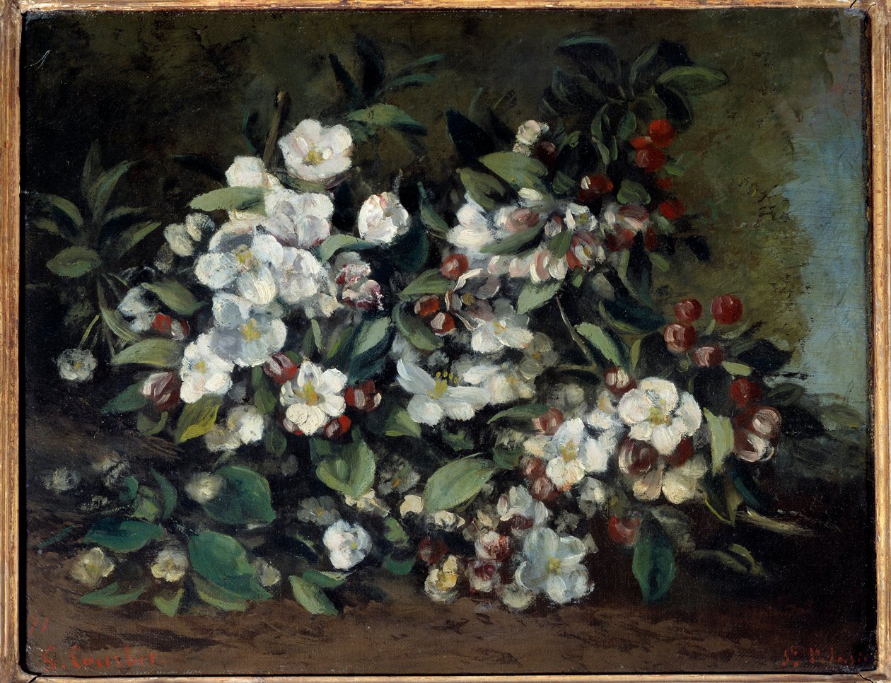 Třešňové květy nebo jabloňové větve v květu. Obraz Gustava Courbeta (1819-1877) od Gustave Courbet