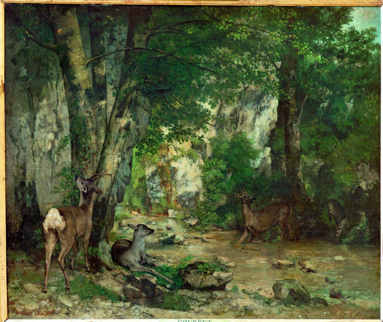 Jelení rezervace v Plaisir Fontaine (malba na plátně) od Gustave Courbet