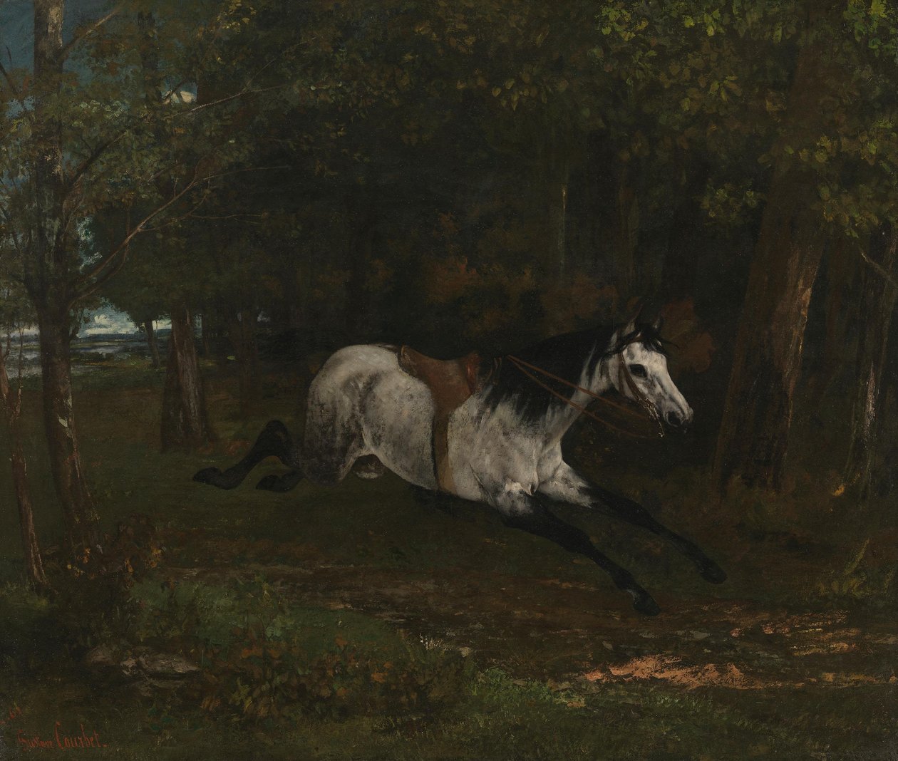 Kůň, který běží v kuse od Gustave Courbet