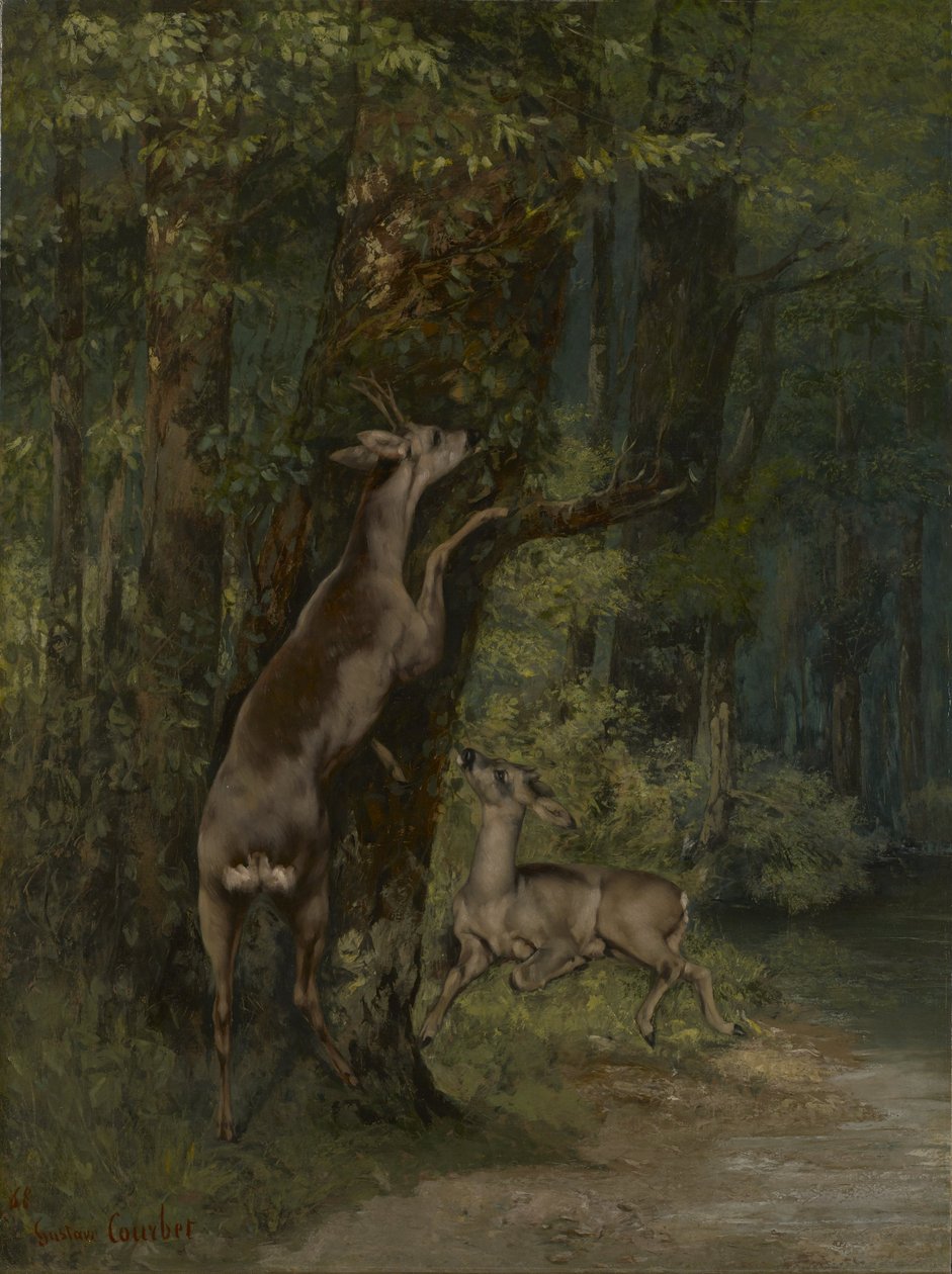 Francouzsky: Cerfs dans la forêt Jeleni v lese od Gustave Courbet