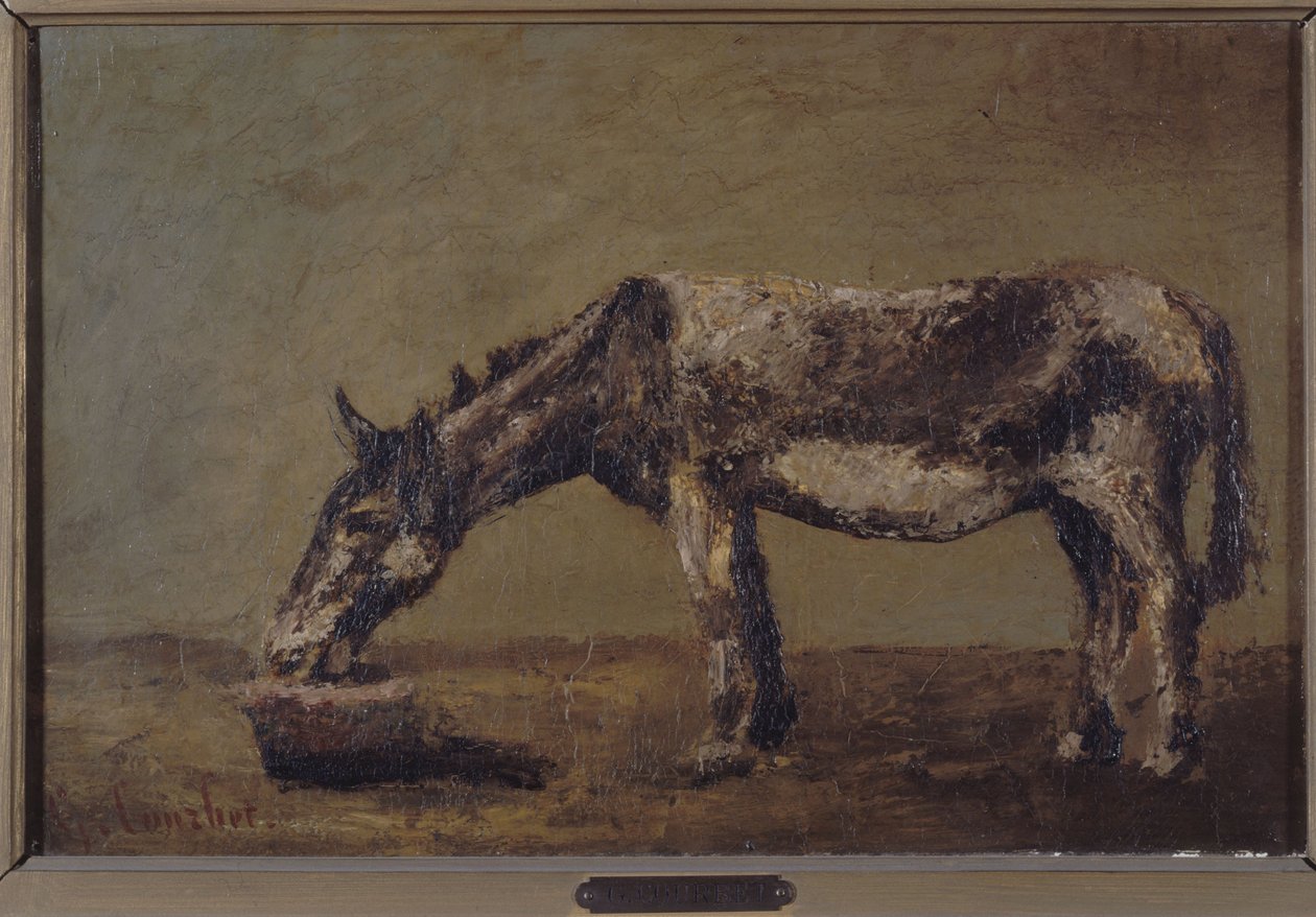 Osel, mezi lety 1862 a 1863 (olej na plátně) od Gustave Courbet